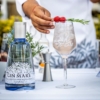 Gin-mare-photo