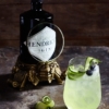 Hendrick's-gin-0,7-photo