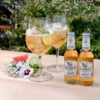 Jgasco-elderflower-tonic-photo