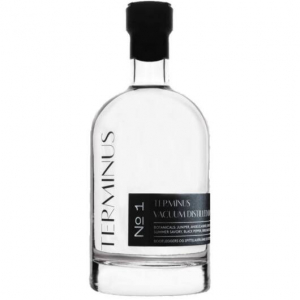 terminus_gin_photo